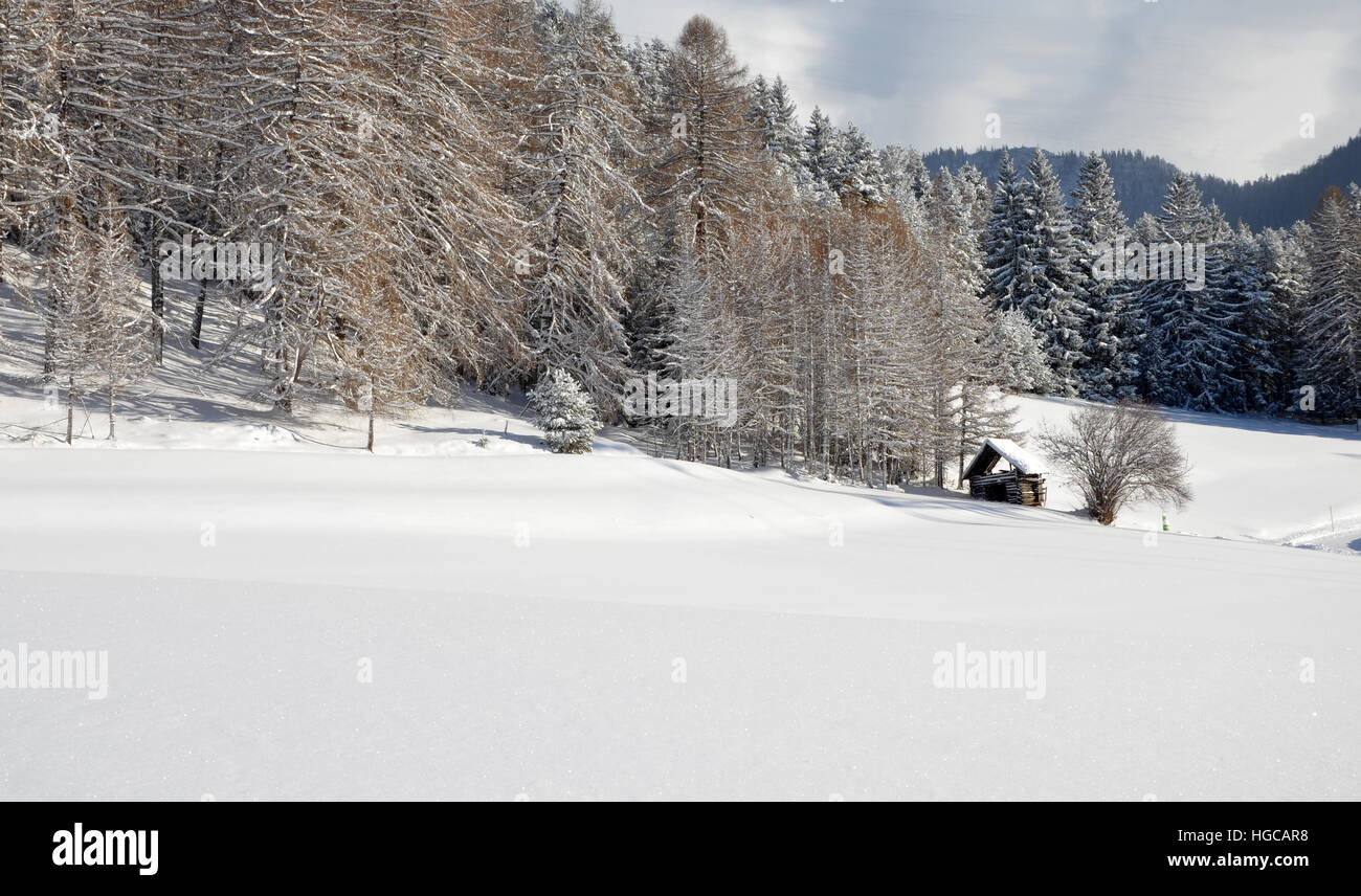 Old wooden hut an a sunny winter day in Tyrol, Austria Stock Photo