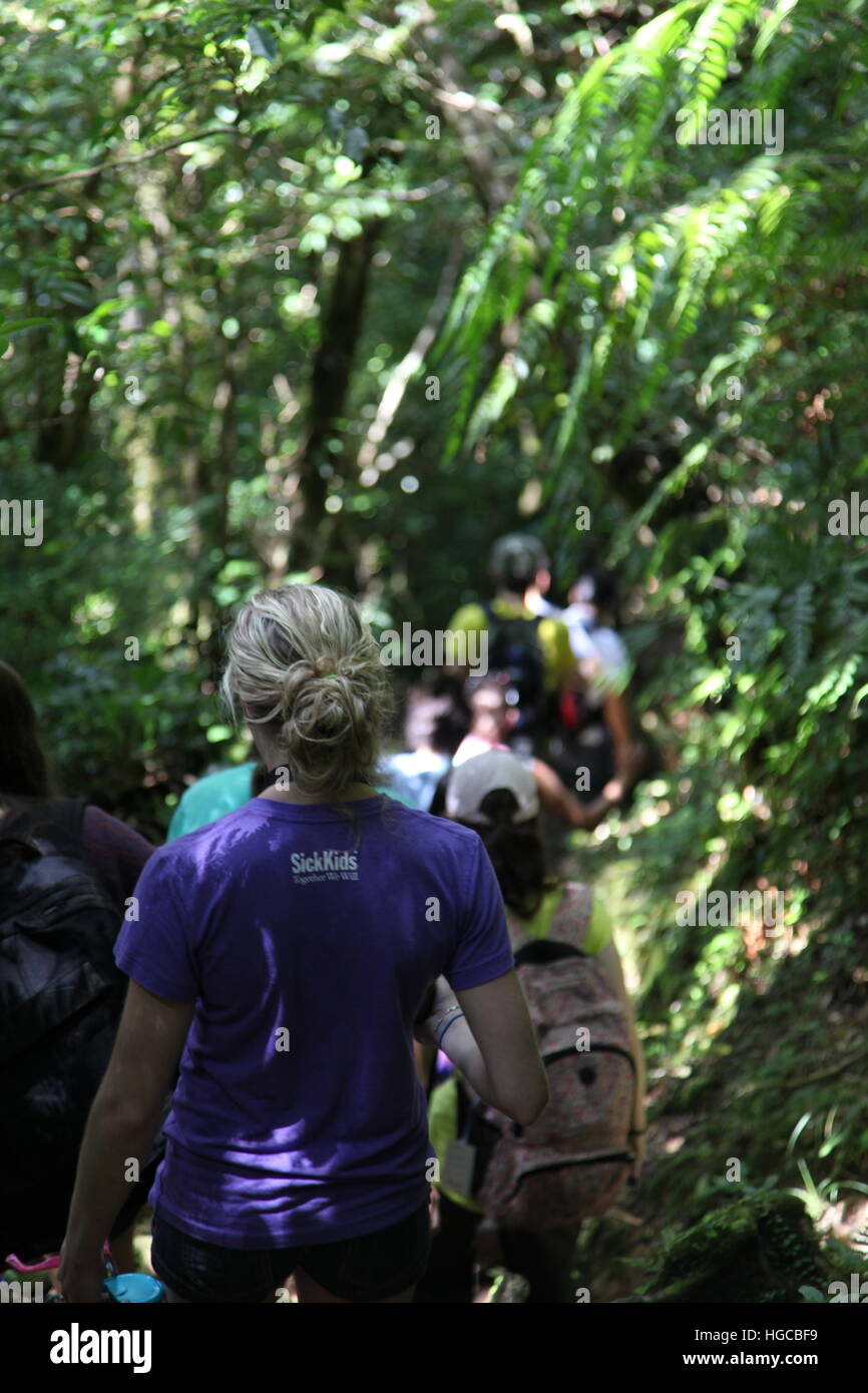 Mountain Hiking in Costa Rica Stock Photo Alamy