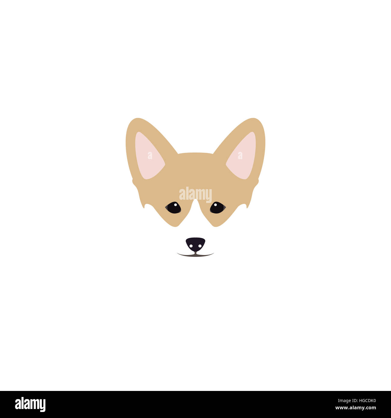 Welsh corgi pembroke image hi-res stock photography and images - Alamy