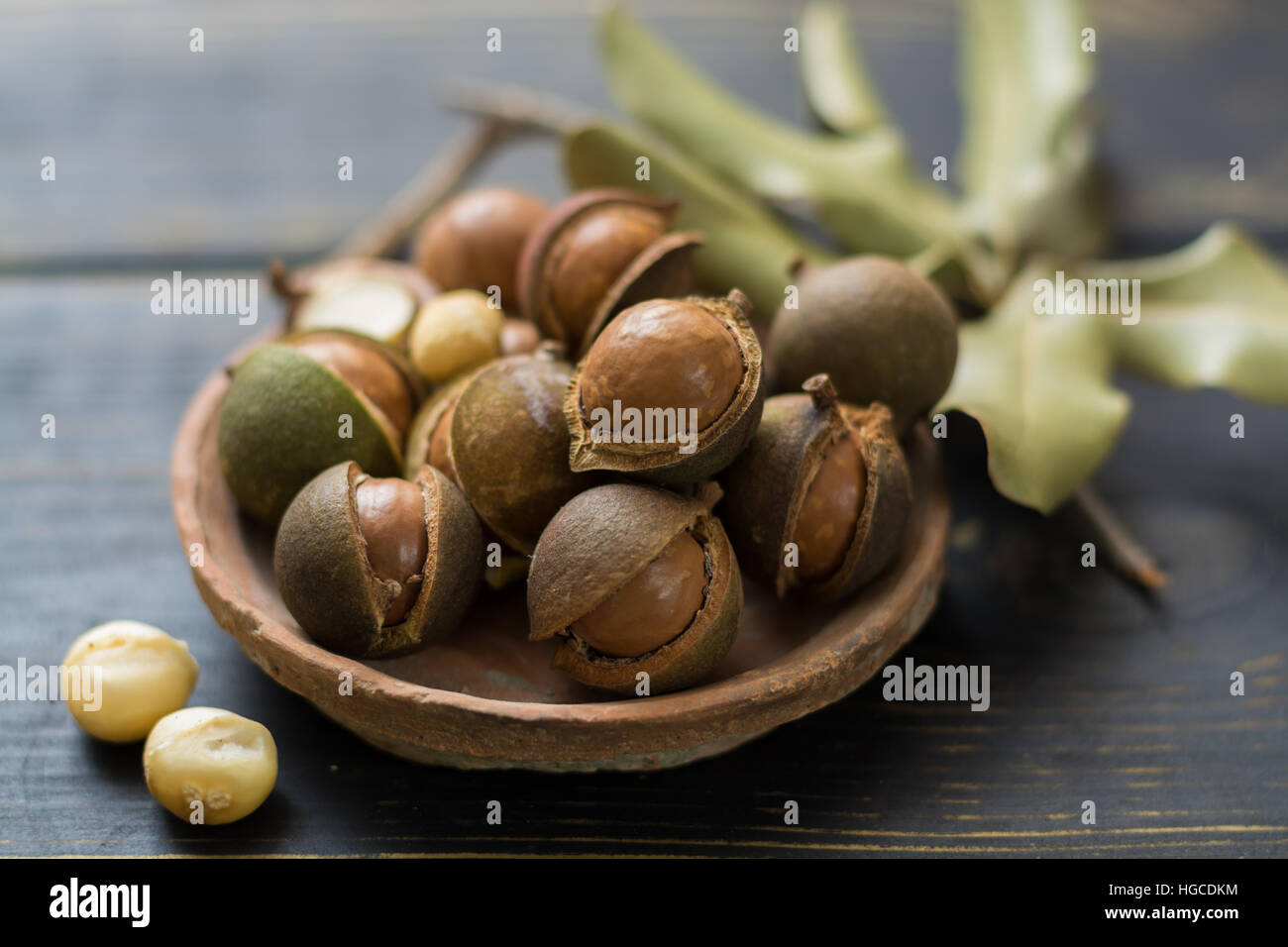 Macadamia nuts harvest close up Stock Photo Alamy