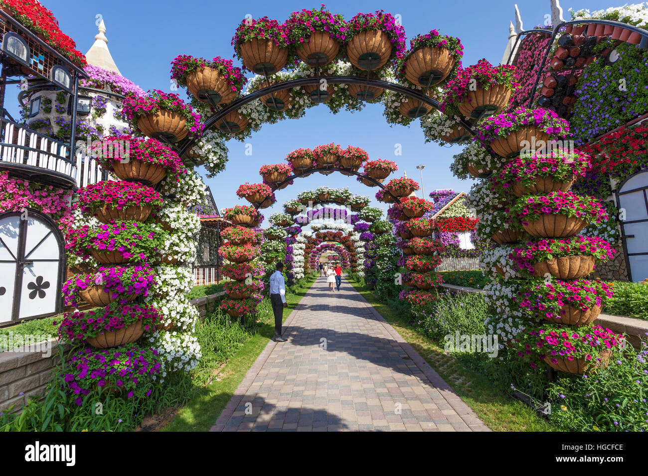 Millions of Flowers at the Miracle Garden in Dubai Stock Photo Alamy