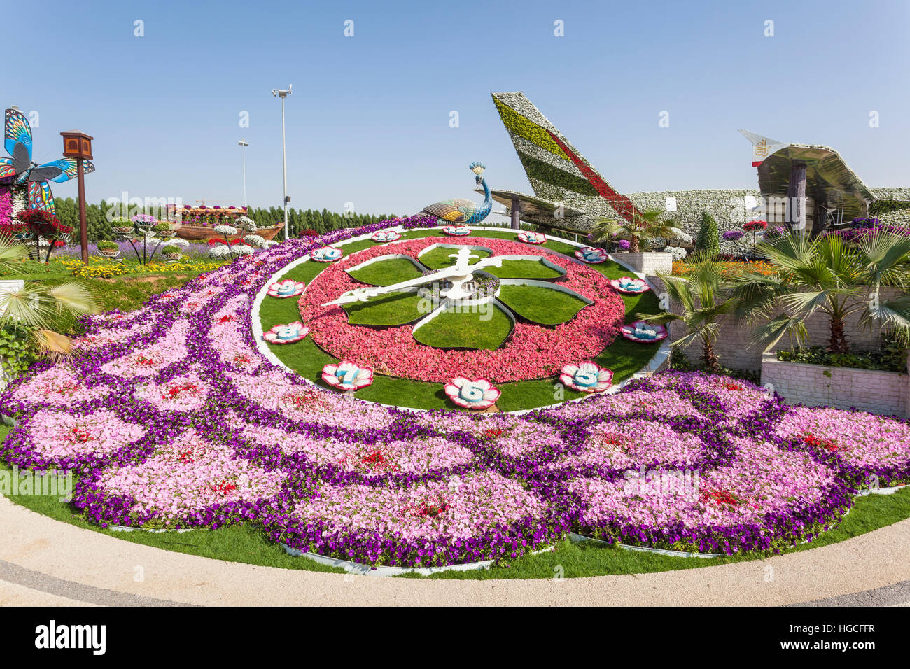Millions of Flowers at the Miracle Garden in Dubai Stock Photo Alamy