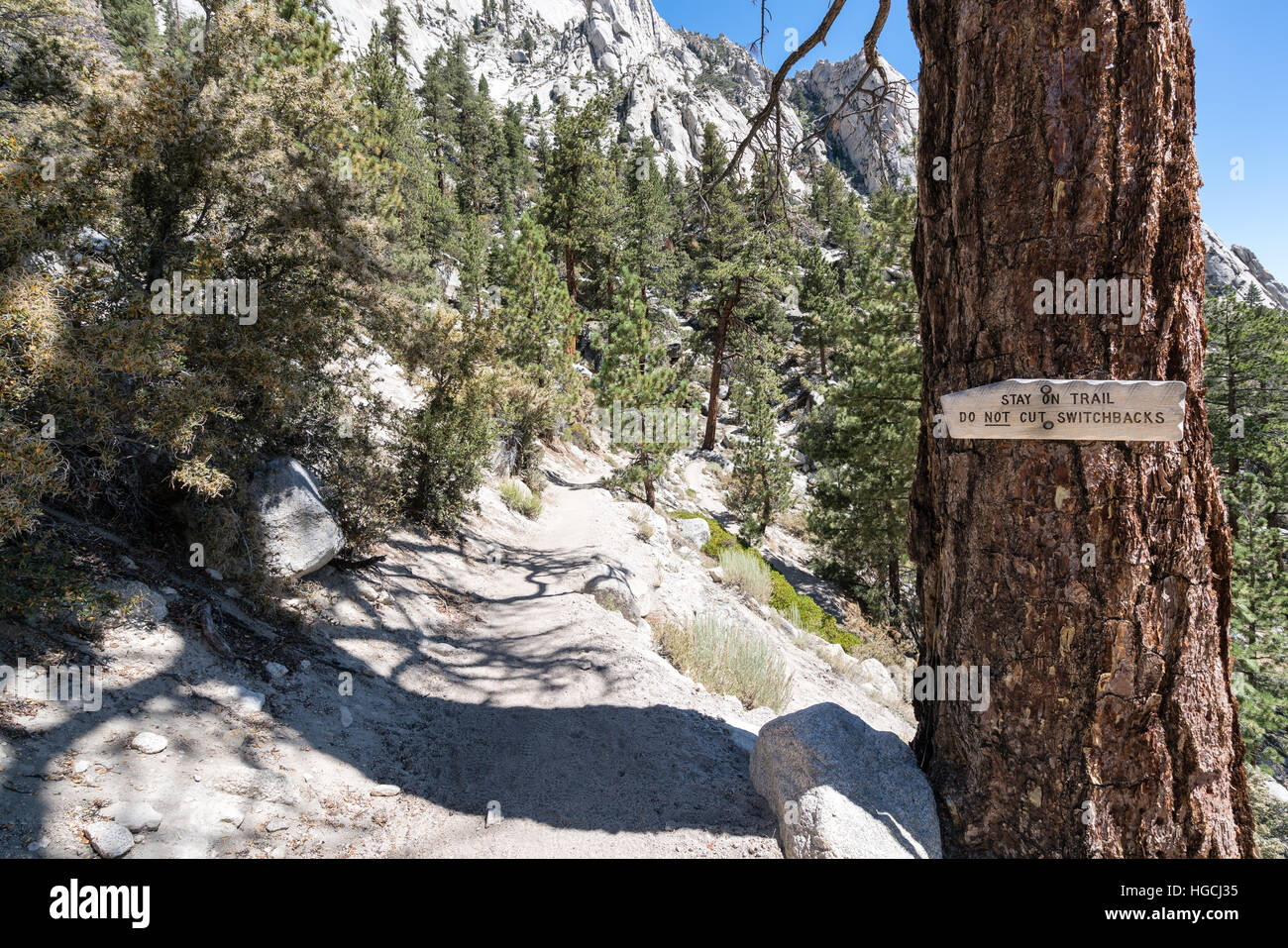 Hiking in Inyo National Forest, California, United States of America, North America Stock Photo