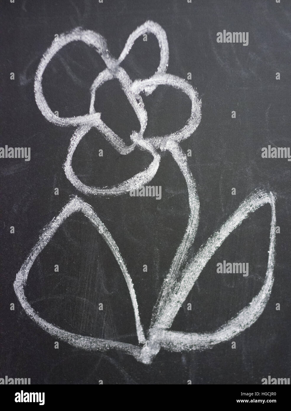 Flower on chalkboard Stock Photo Alamy
