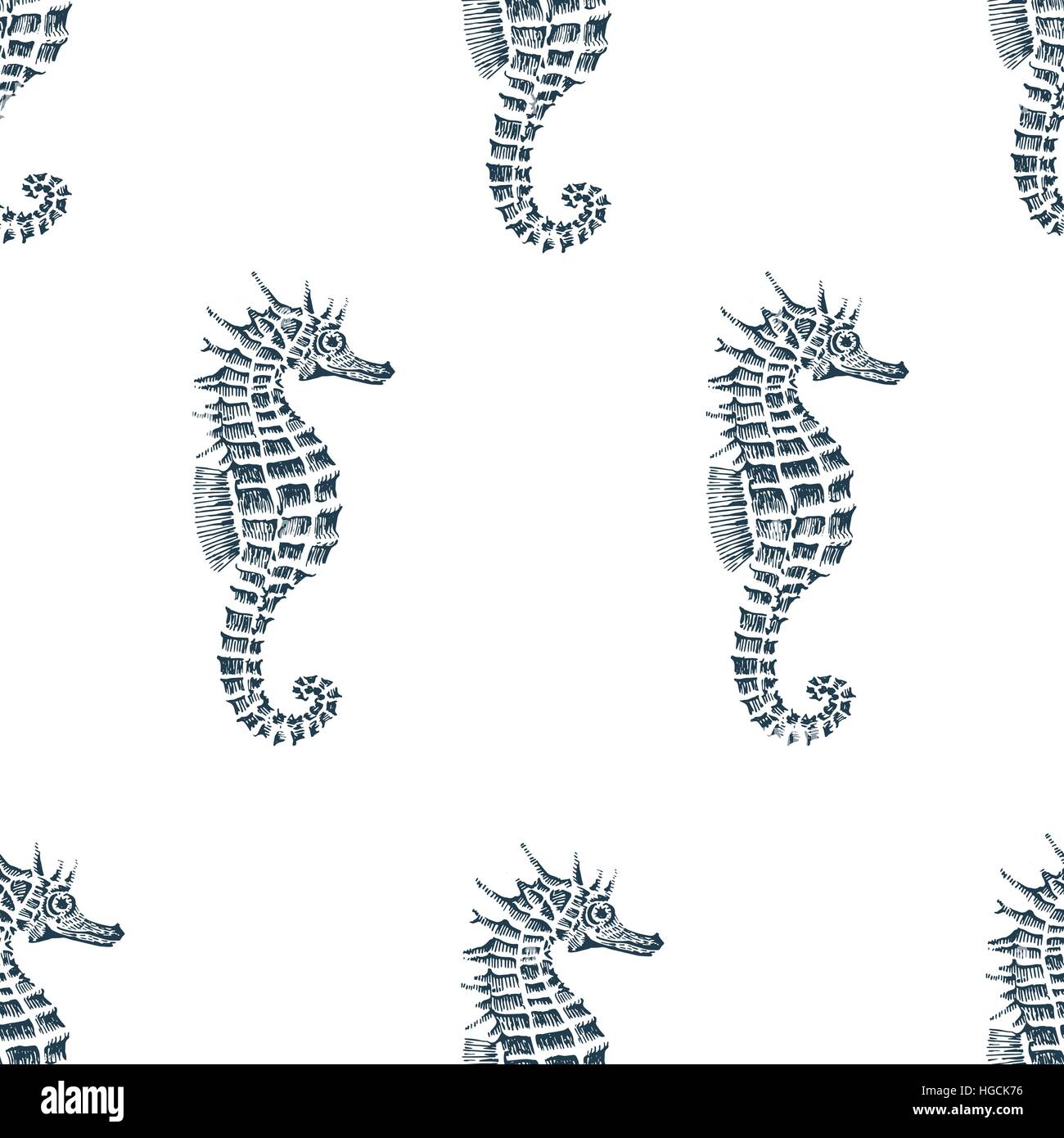 vector seamless pattern with seahorse Stock Vector Image & Art - Alamy
