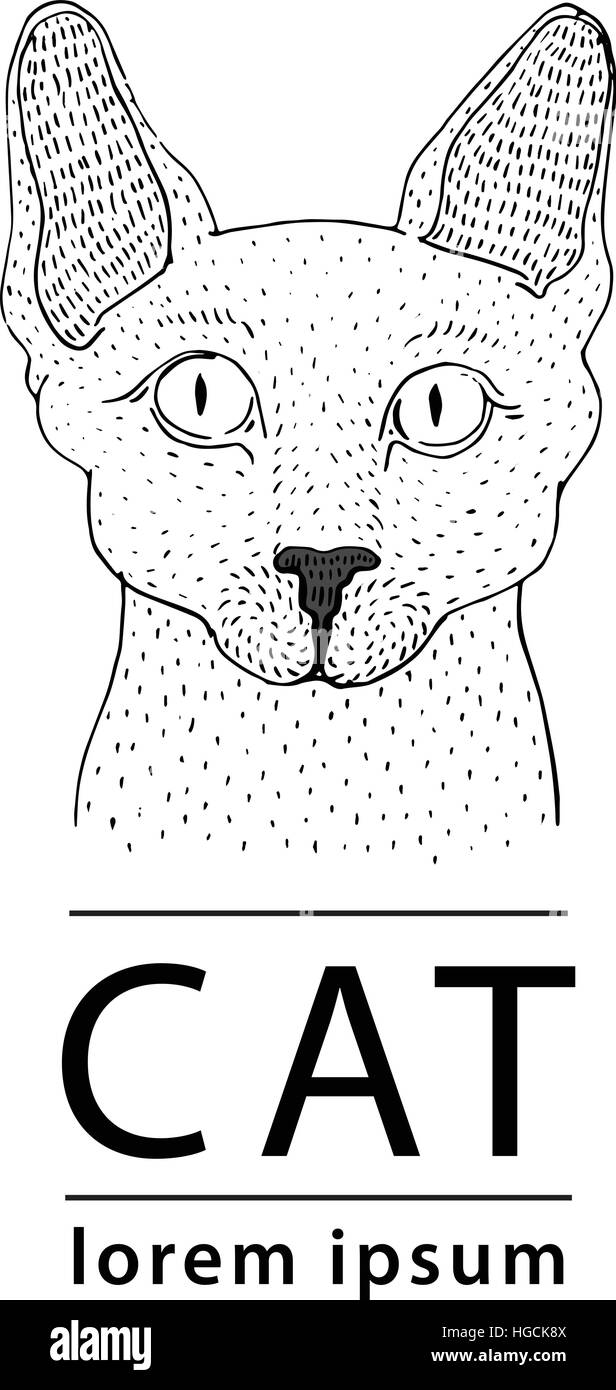 Sphynx cat logo, vector illustration Stock Vector