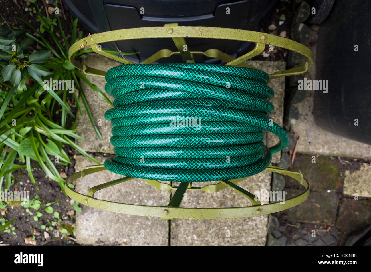 Green garden hose Stock Photo Alamy