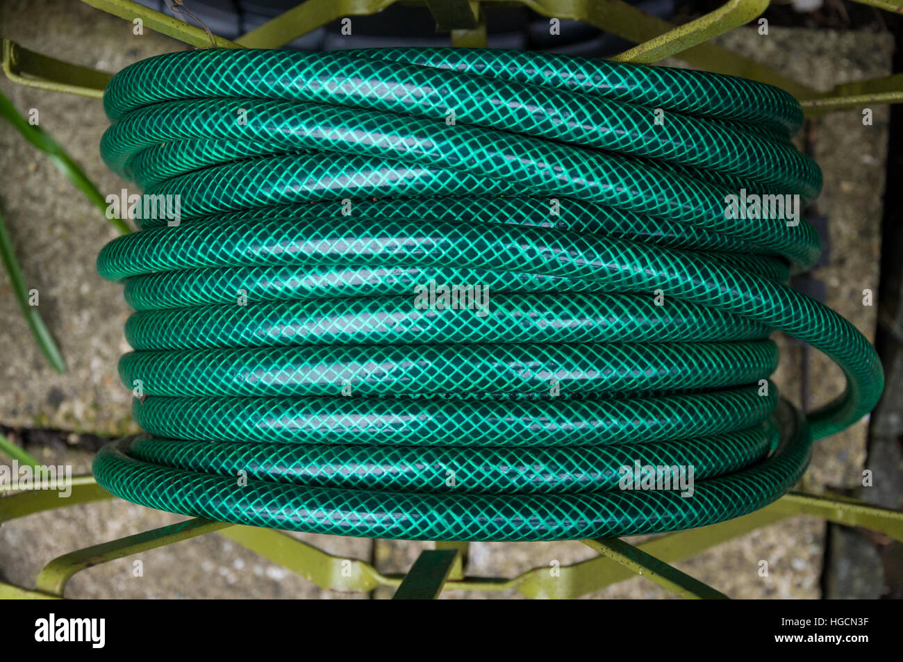 Green garden hose Stock Photo Alamy