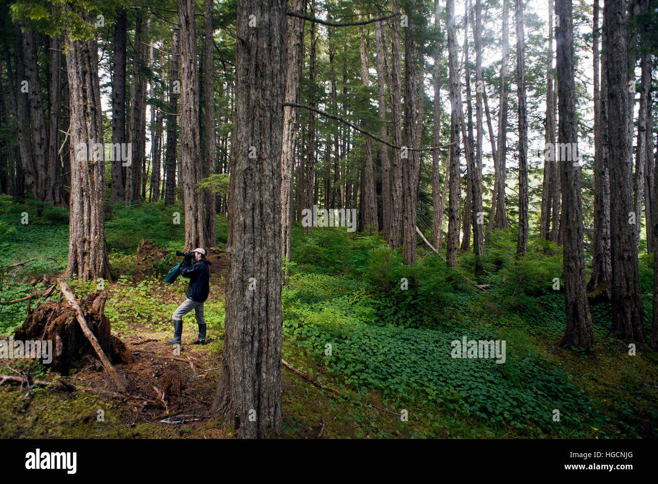 Man taking picture in a temperate rainforest on the Brothers Islands between Stephens Passage and Frederick Sound. Alexander Archipelago, Southeast Al Stock Photo