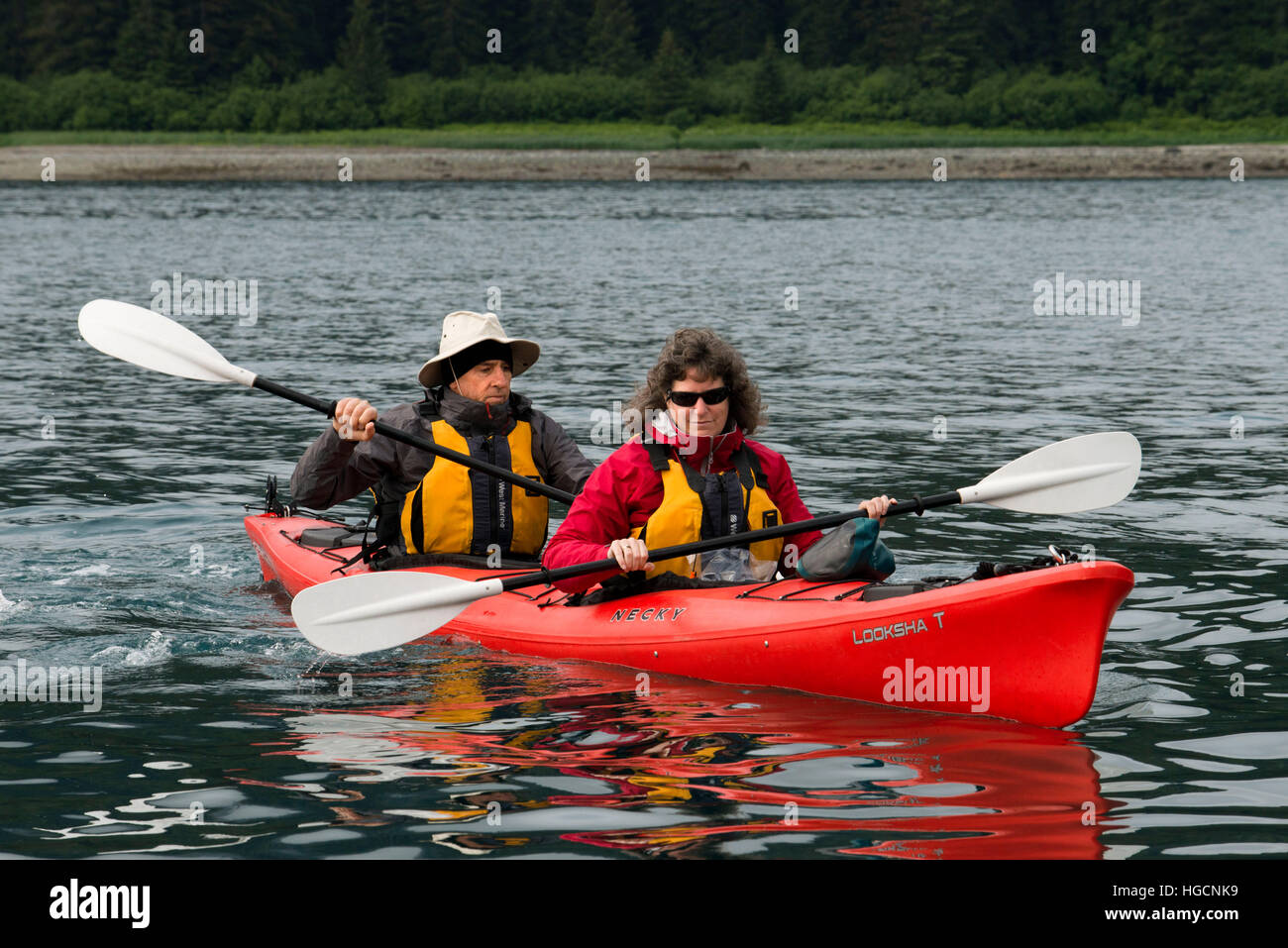 Kayaking in Icy Strait. Glacier Bay National Park adn Preserve. Chichagof Island. Juneau. Southeast Alaska. Today is the ultimate day of exploration. Stock Photo