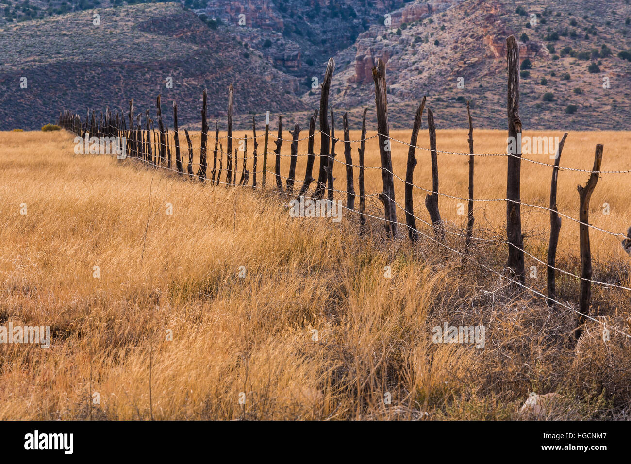 Fence on rangeland along the House Rock Road, on or immediately ...