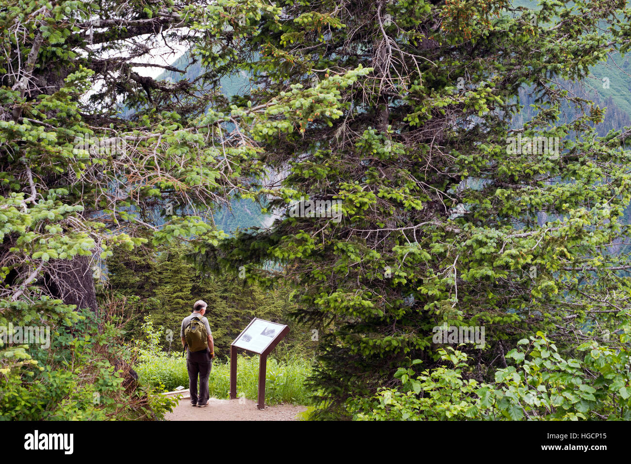 A tourist looking at an information signal in Mount Roberts. Trekking from the Mt Roberts Tramway, Juneau. Alaska. The top terminal of the tram is loc Stock Photo