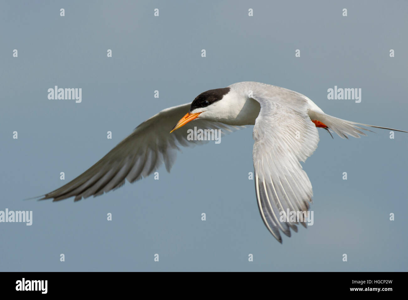 Air currents hi-res stock photography and images - Alamy