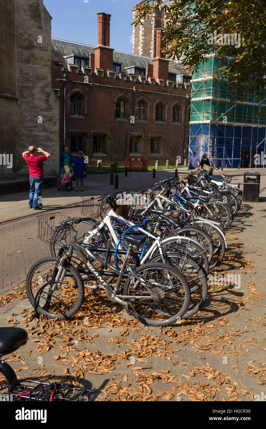Bikes in Cambridge England Stock Photo Alamy