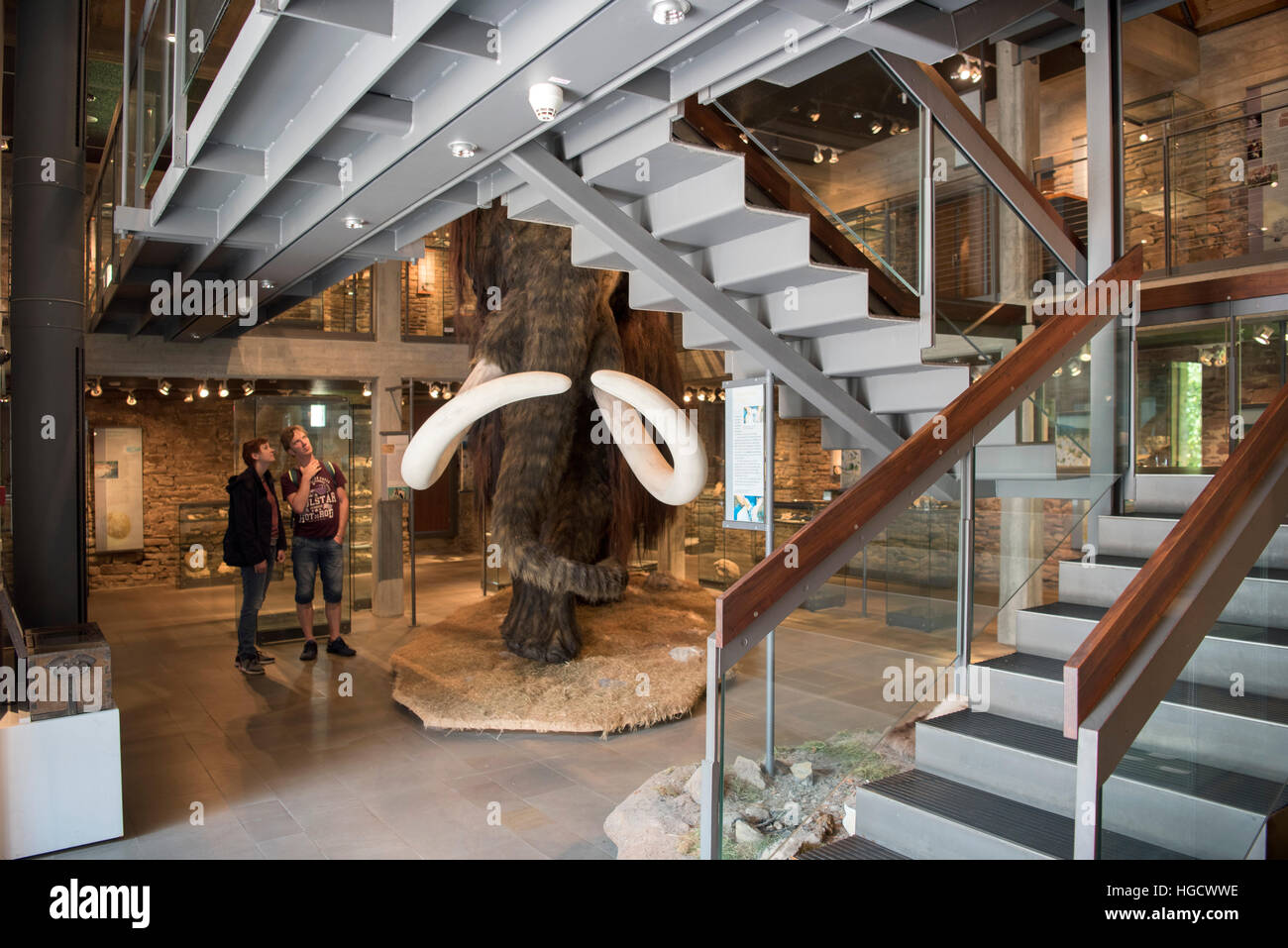 Deutschland, Nordrhein-Westfalen, Hagen, Museum für Ur- und Frühgeschichte im Wasserschloss Werdringen. Exponat Mammut Stock Photo