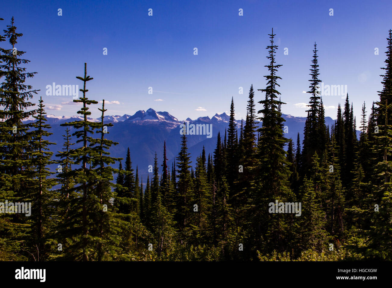 Mount Mackenzie, Revelstoke, BC Stock Photo Alamy