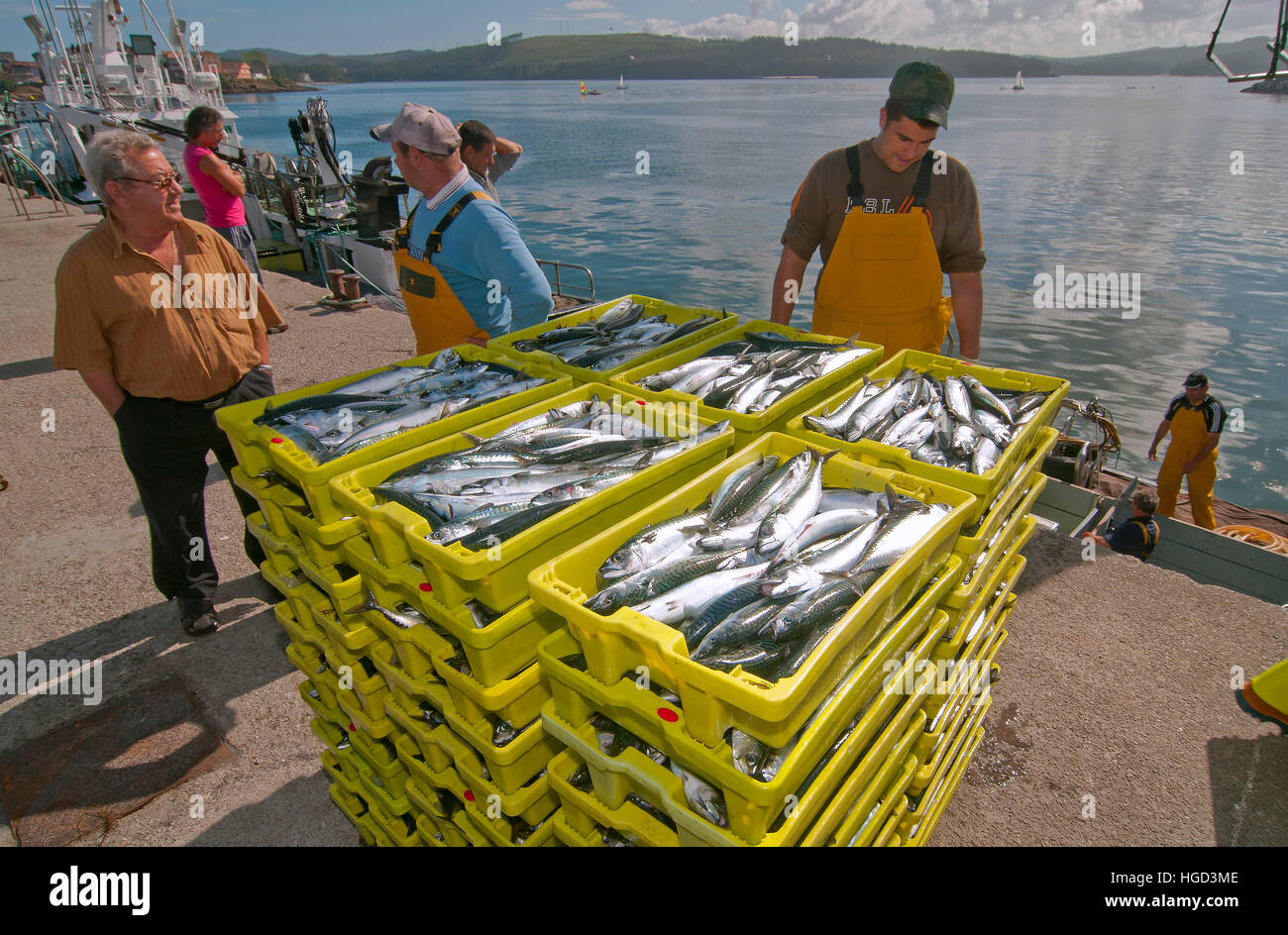 Fishing boat unloading the boxes of fish, Mackerel boxes, Camarinas, La Coruna province, Region of Galicia, Spain, Europe Stock Photo