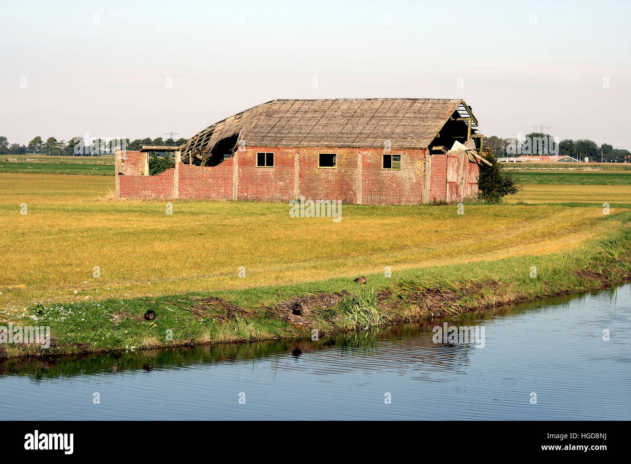 An old barn partially decayed. On a field near water Stock Photo - Alamy