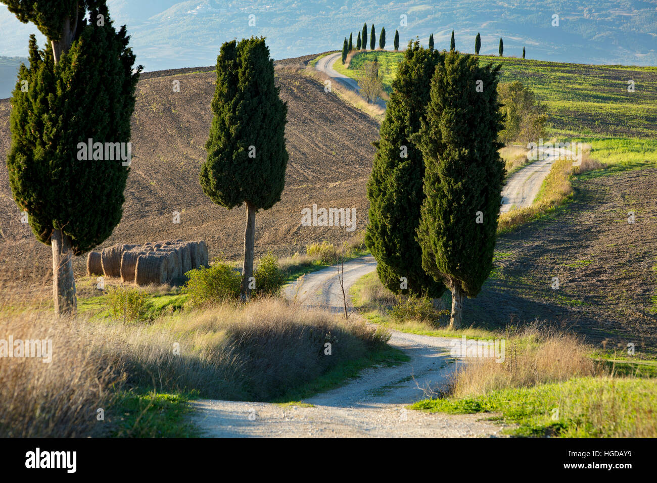 Winding farm track leading to county villa near Pienza, Tuscany, Italy Stock Photo
