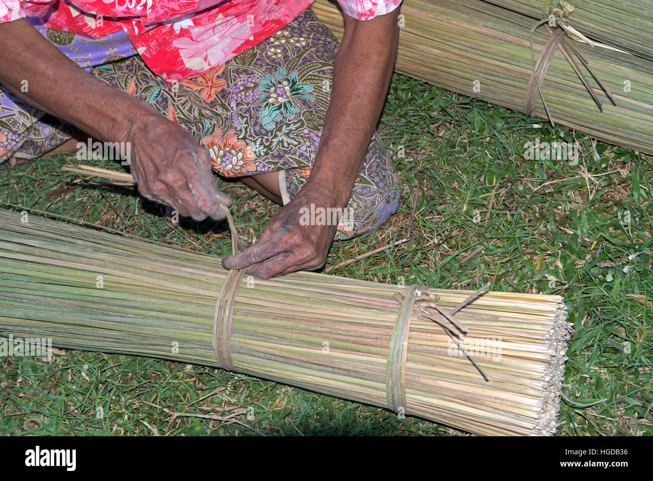Thailand, Patthalung, Tale noi, Sorting, Separation and Tying up of the dried grey rushes or sedges, Lepirona articulata, Stock Photo