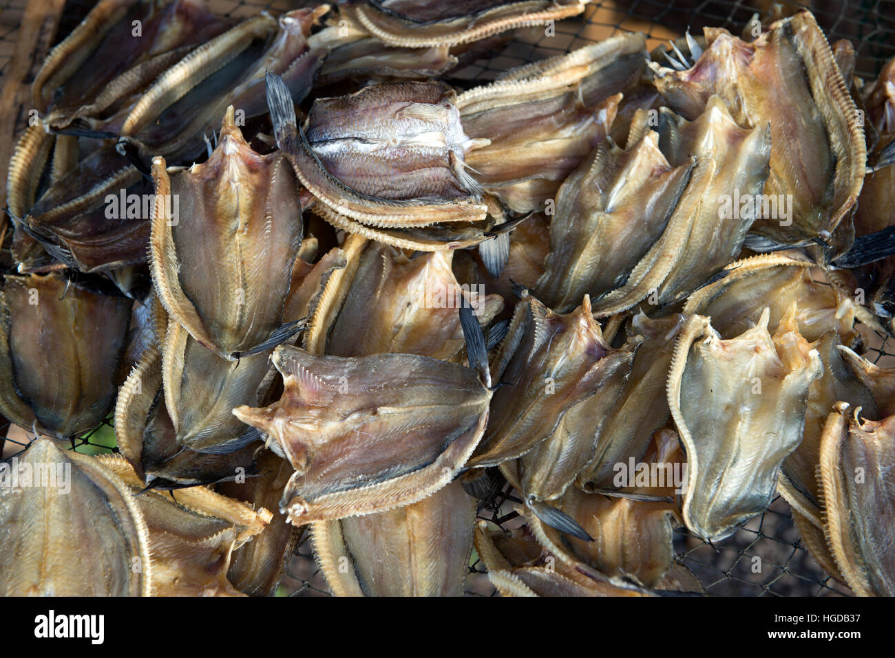 Thailand, Southern, Drying of fishies of lake Stock Photo