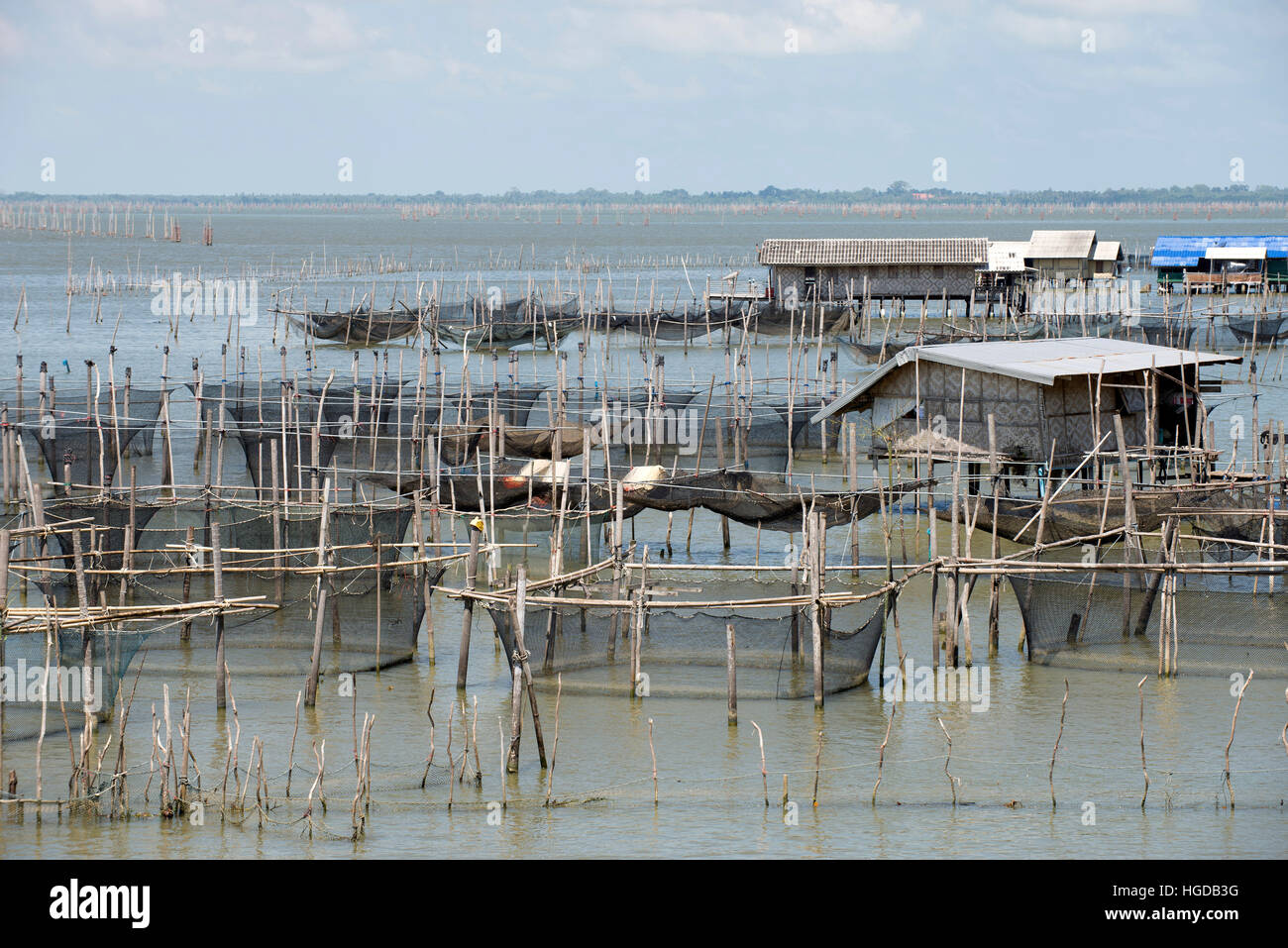 Thailand, Songkhla, Koh Yo, Aquacultural farm, Freshwater fish farming Stock Photo