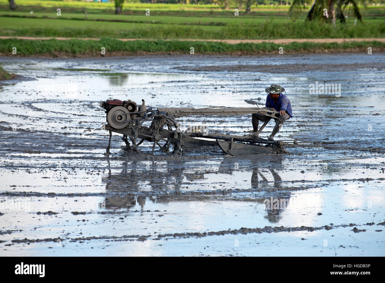 Southern Thailand, Farmer ride rice tractor for preparing the ground for rice plantation Stock Photo