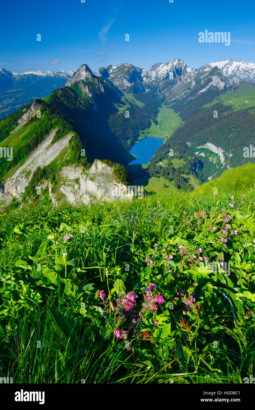 view from Hoher Kasten, Appenzell, Stock Photo