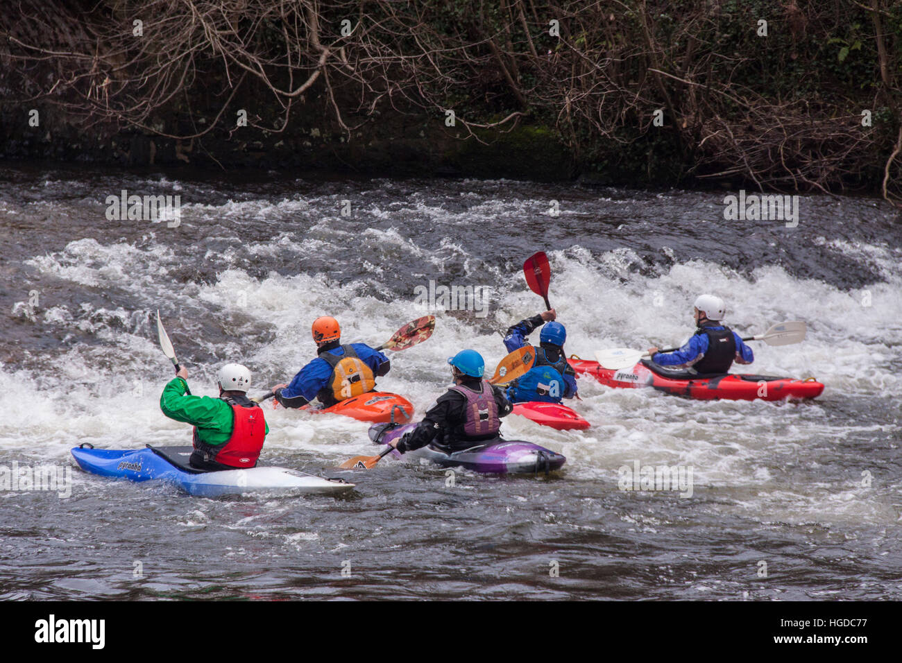 Kayakers attempt to paddle back up the weir on the River Exe at Bickleigh in Devon. Stock Photo