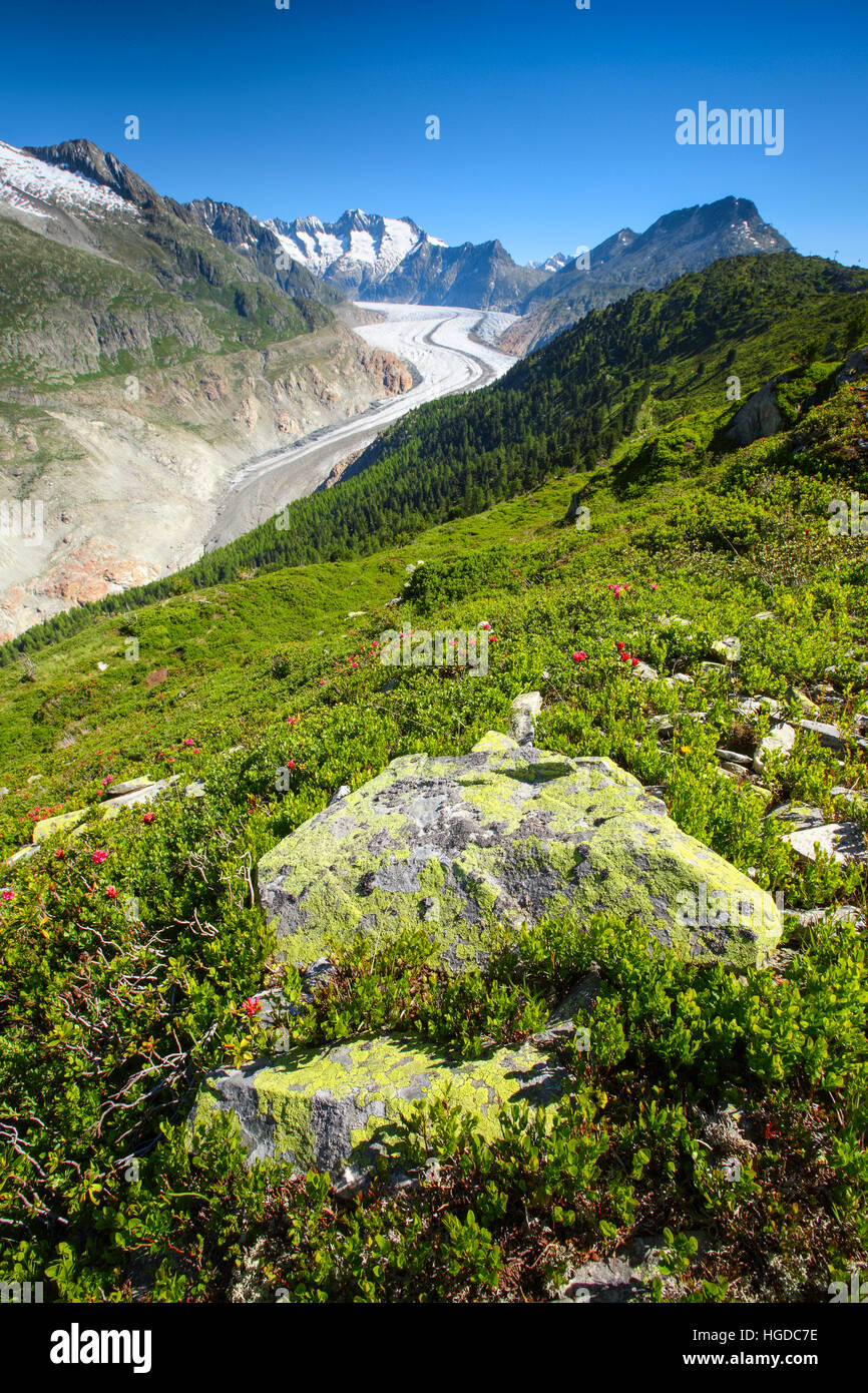 Wannenhörner and Aletsch glacier, Valais, Switzerland Stock Photo