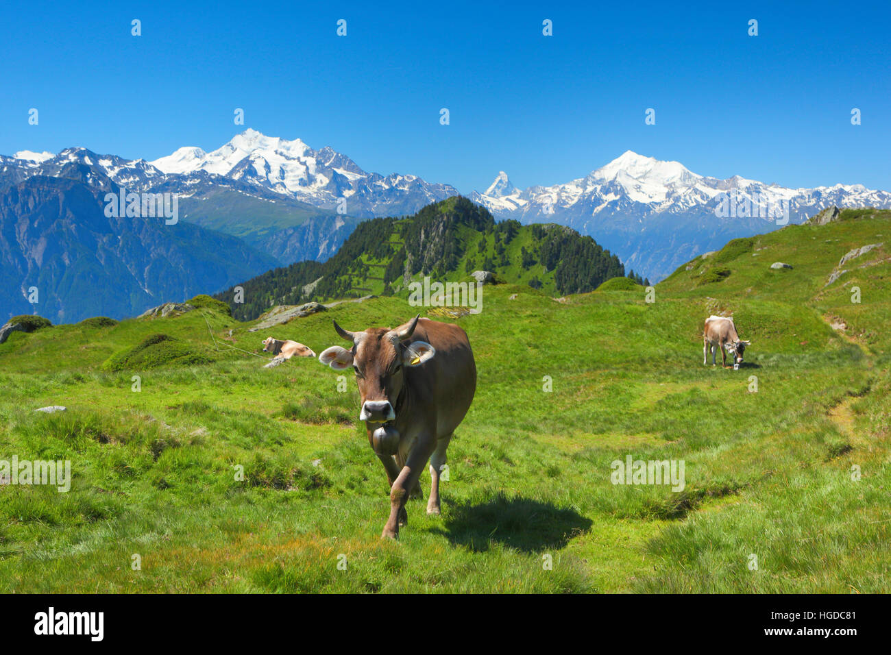 Swiss Alps, Mischabel, Matterhorn, Weisshorn, Valais, Switzerland Stock Photo
