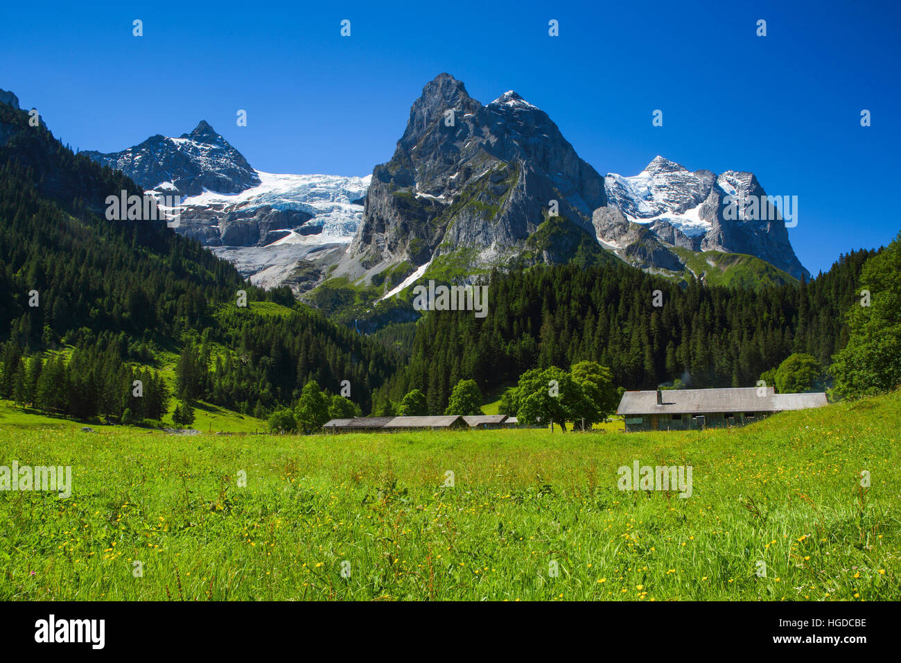 Wellhorn - 3192 ms, Rosenlaui glacier, valley of Rosenlaui, Bernese Oberland, Switzerland Stock Photo