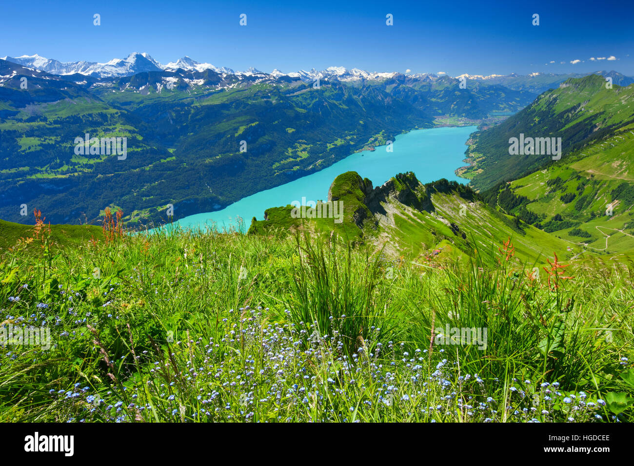 Brienzer rothorn panorama hi-res stock photography and images - Alamy