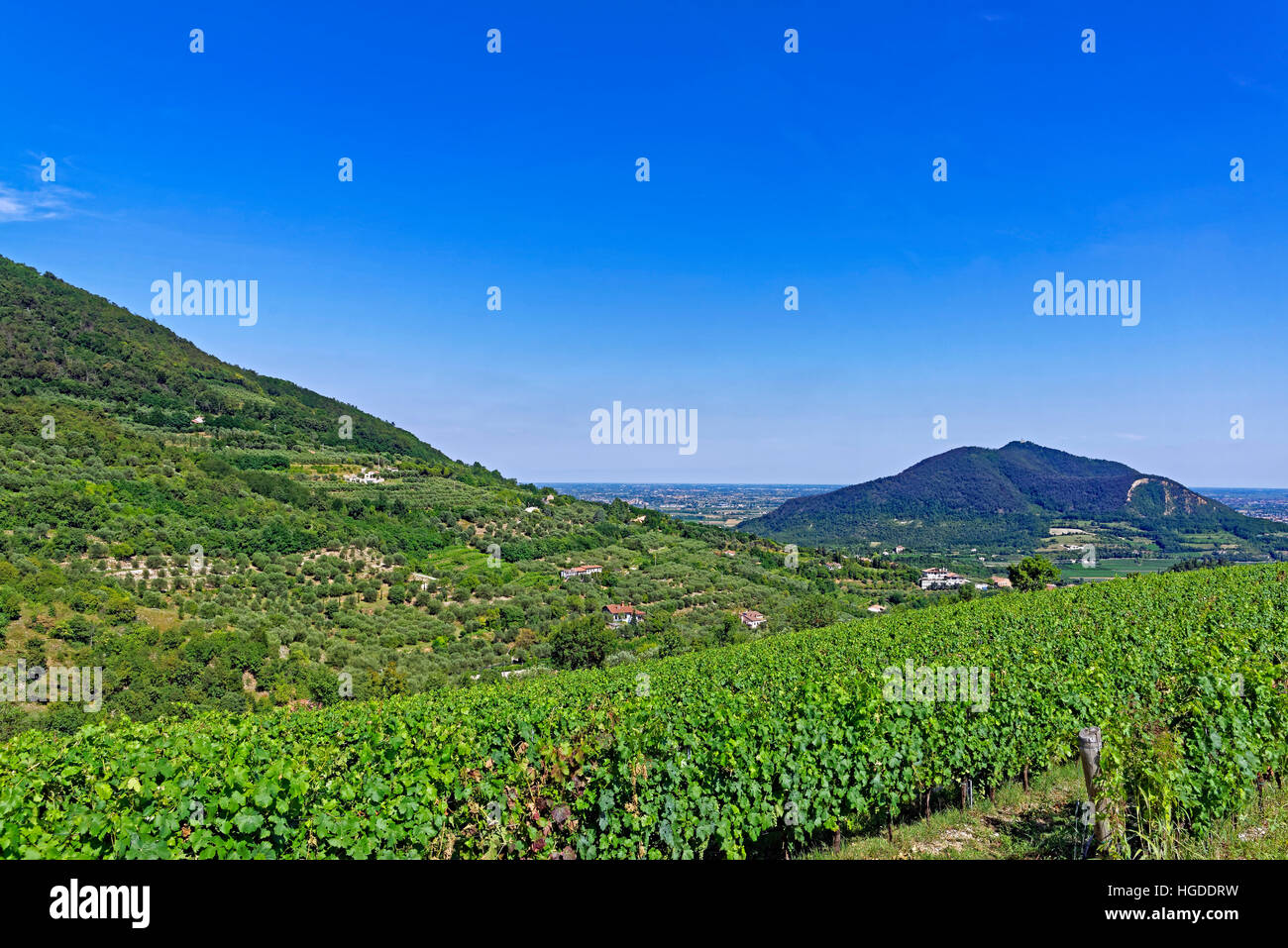 Colli euganei hi-res stock photography and images - Alamy