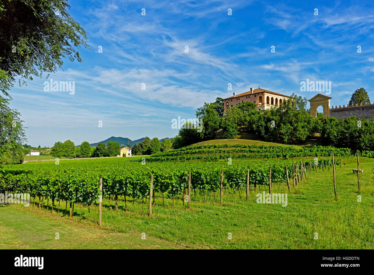 Torreglia, Colli Euganei, Euganean hills, villa dei Vescovi, scenery, landscape, vineyards Stock Photo
