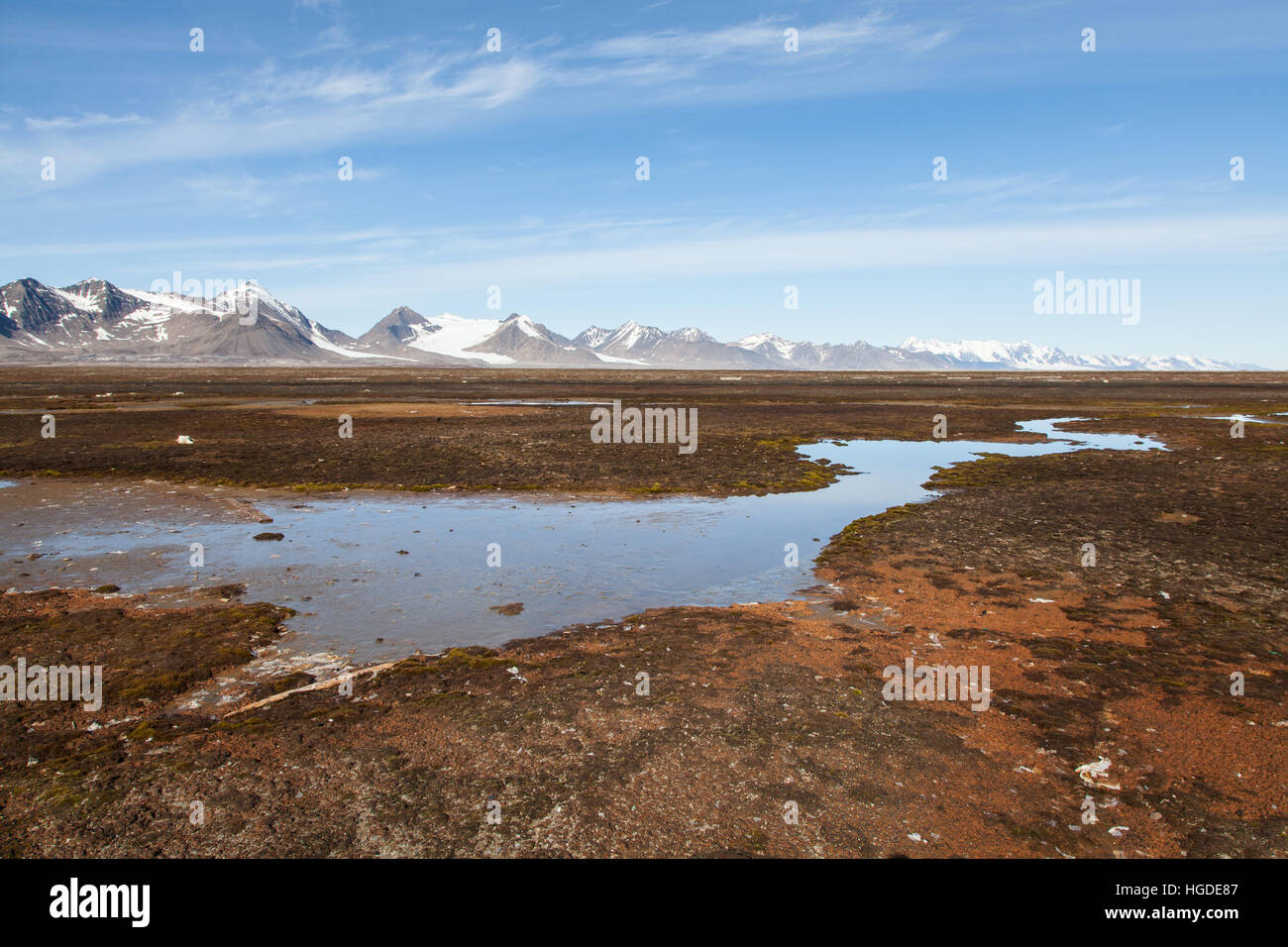Spitsbergen, Svalbard, Poolepynten, tundra Stock Photo