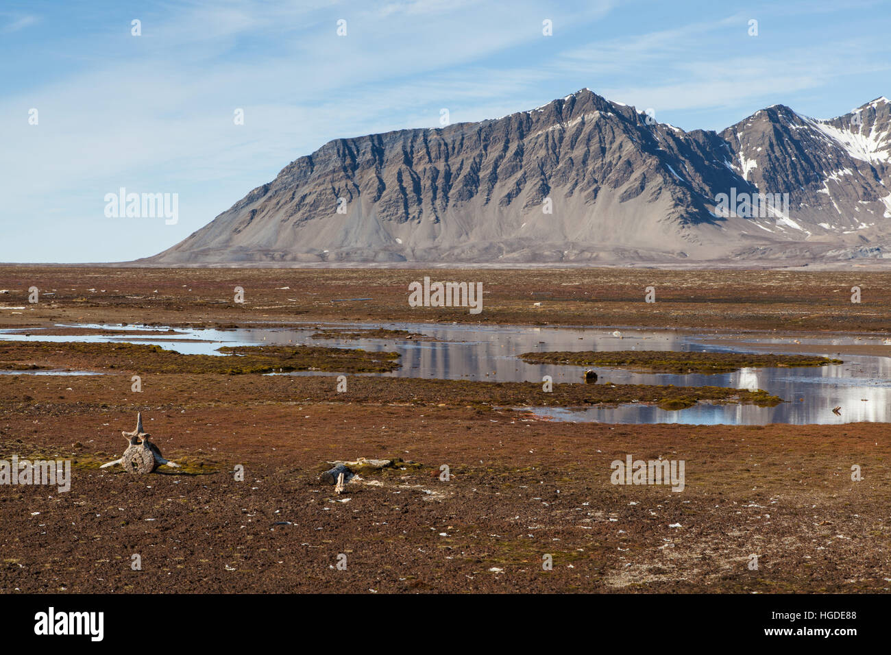 Spitsbergen, Svalbard, Poolepynten, tundra Stock Photo