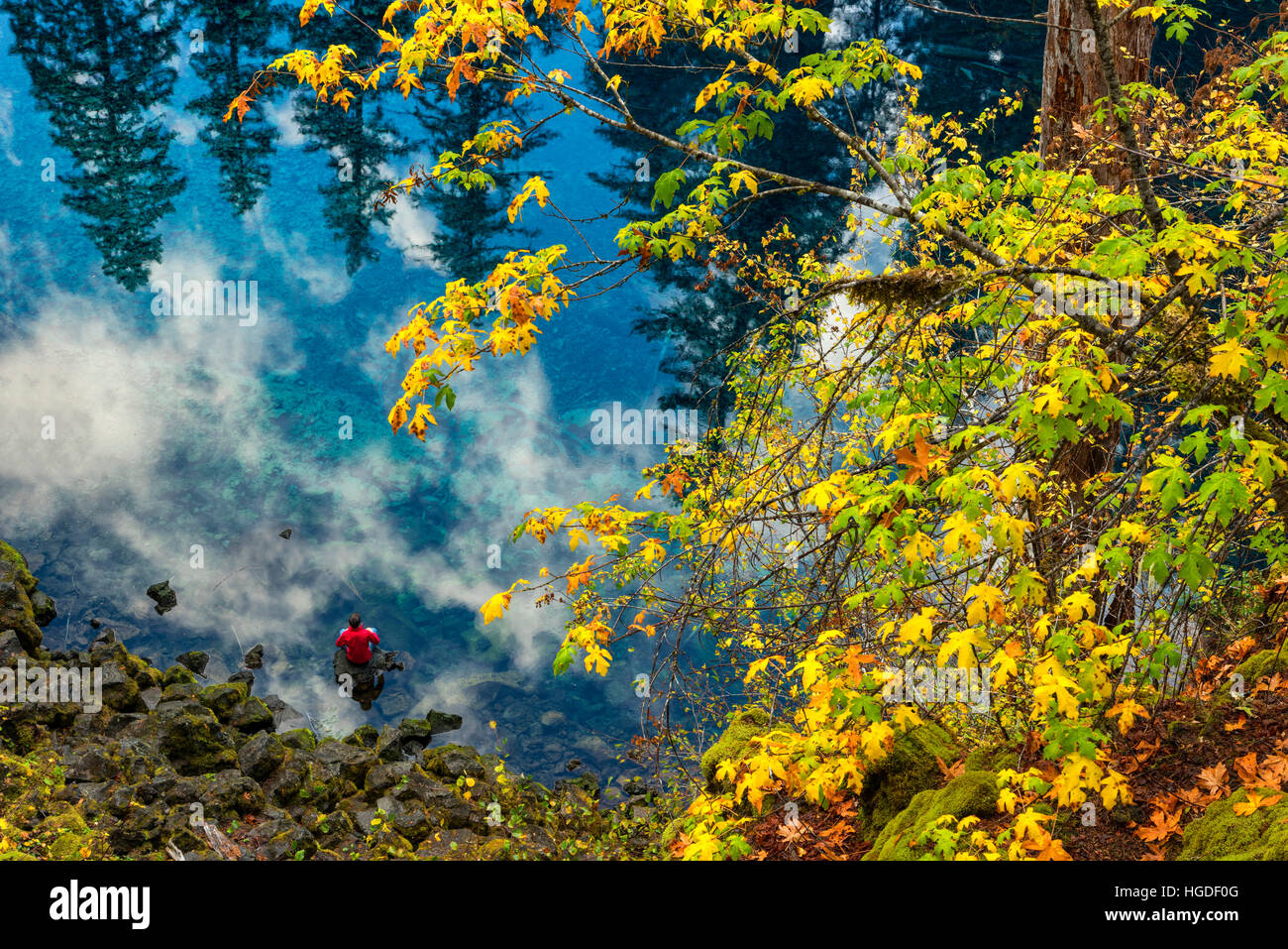 Oregon, Willamette National Forest, Blue Pool on the McKenzie River, Tamolitch Pool, Stock Photo