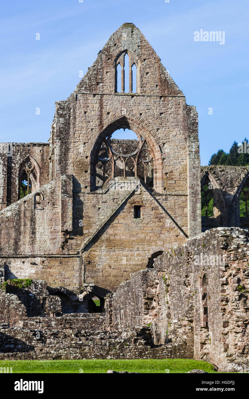 Wales, Monmouthshire, Tintern Abbey Stock Photo
