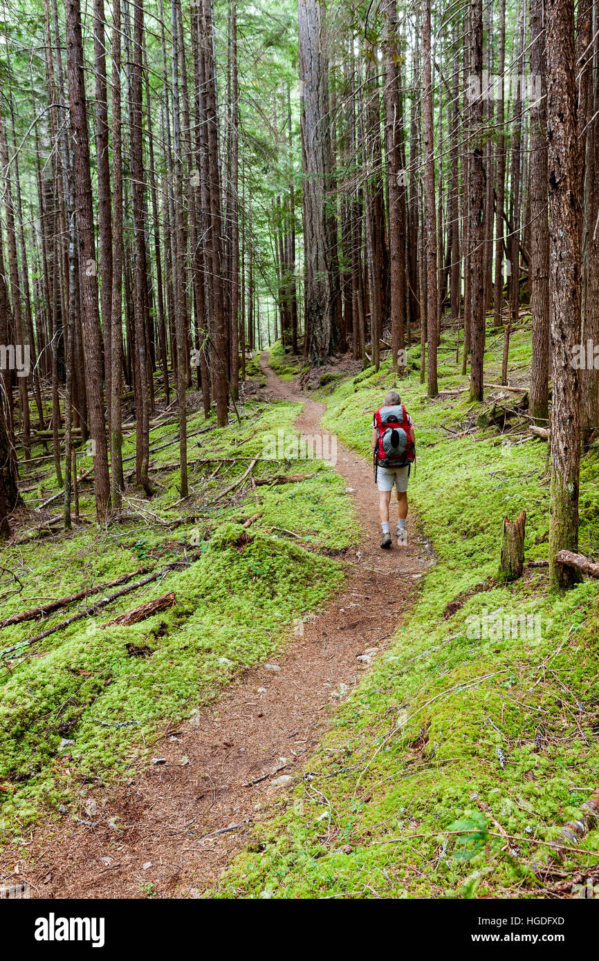 WA11935-00...WASHINGTON - Hiker on the West Shore Ross Lake Trail, also part of the Northwest Trail. (MR#S1) Stock Photo