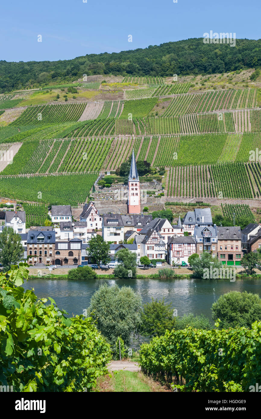 Germany, Rhineland-Palatinate, Moselle, Zell Stock Photo