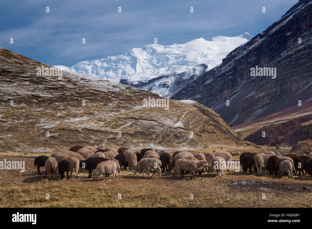 Excursion to the Rainbow Mountains near Checacupe, Stock Photo