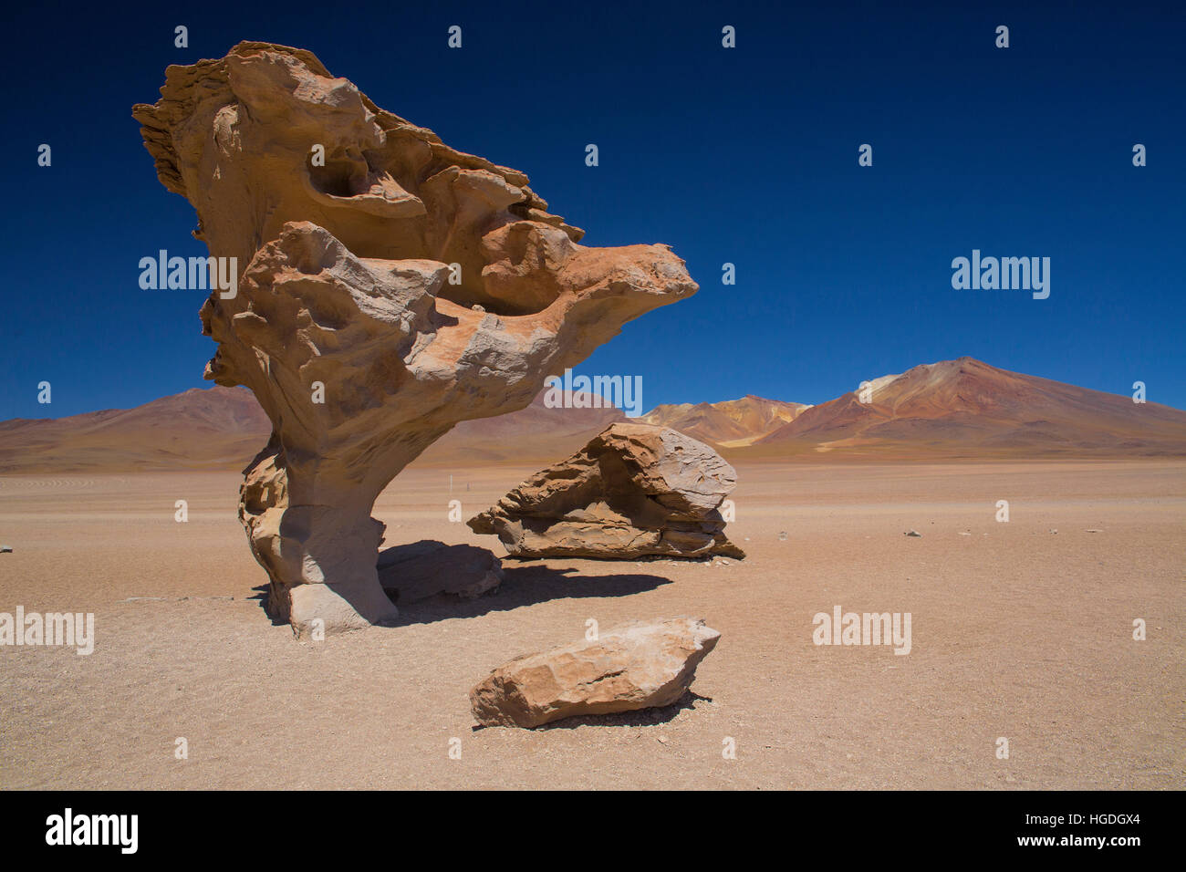 Arbol de Piedra stone tree  in the Siloli Desert Stock Photo