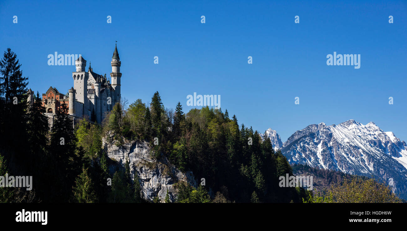 Neuschwanstein castle, Allgäu, Bavaria Stock Photo