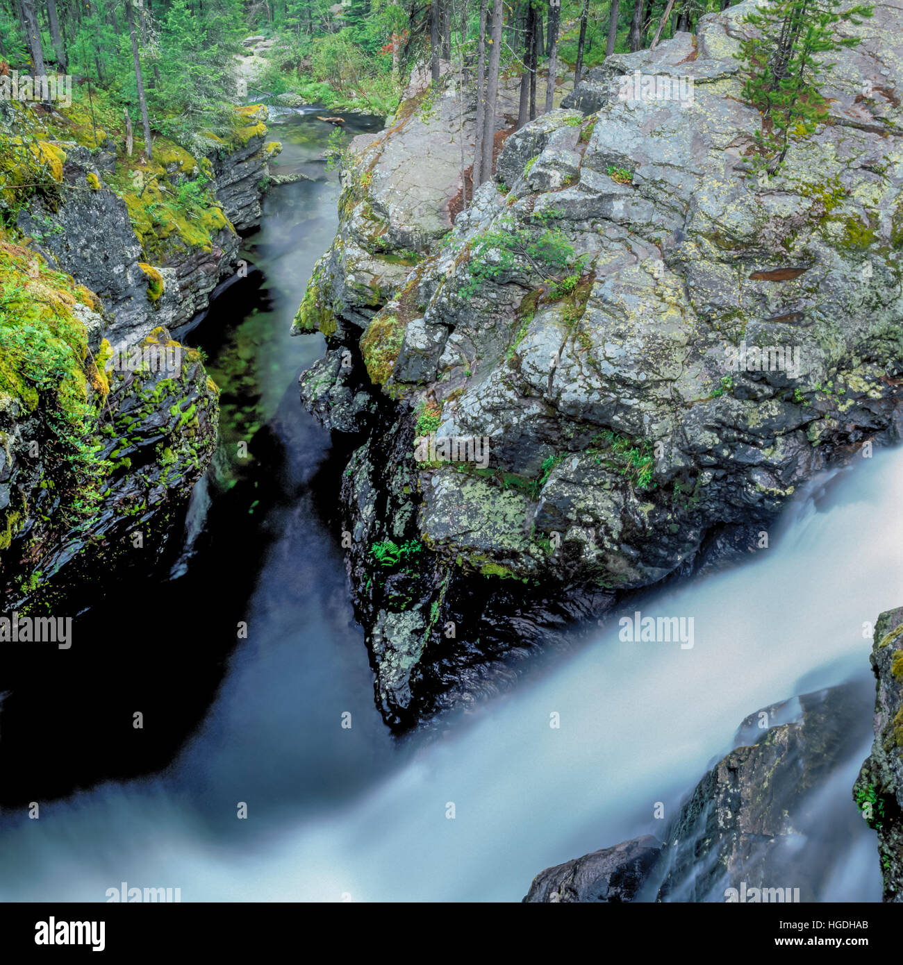 Arlee montana hires stock photography and images Alamy