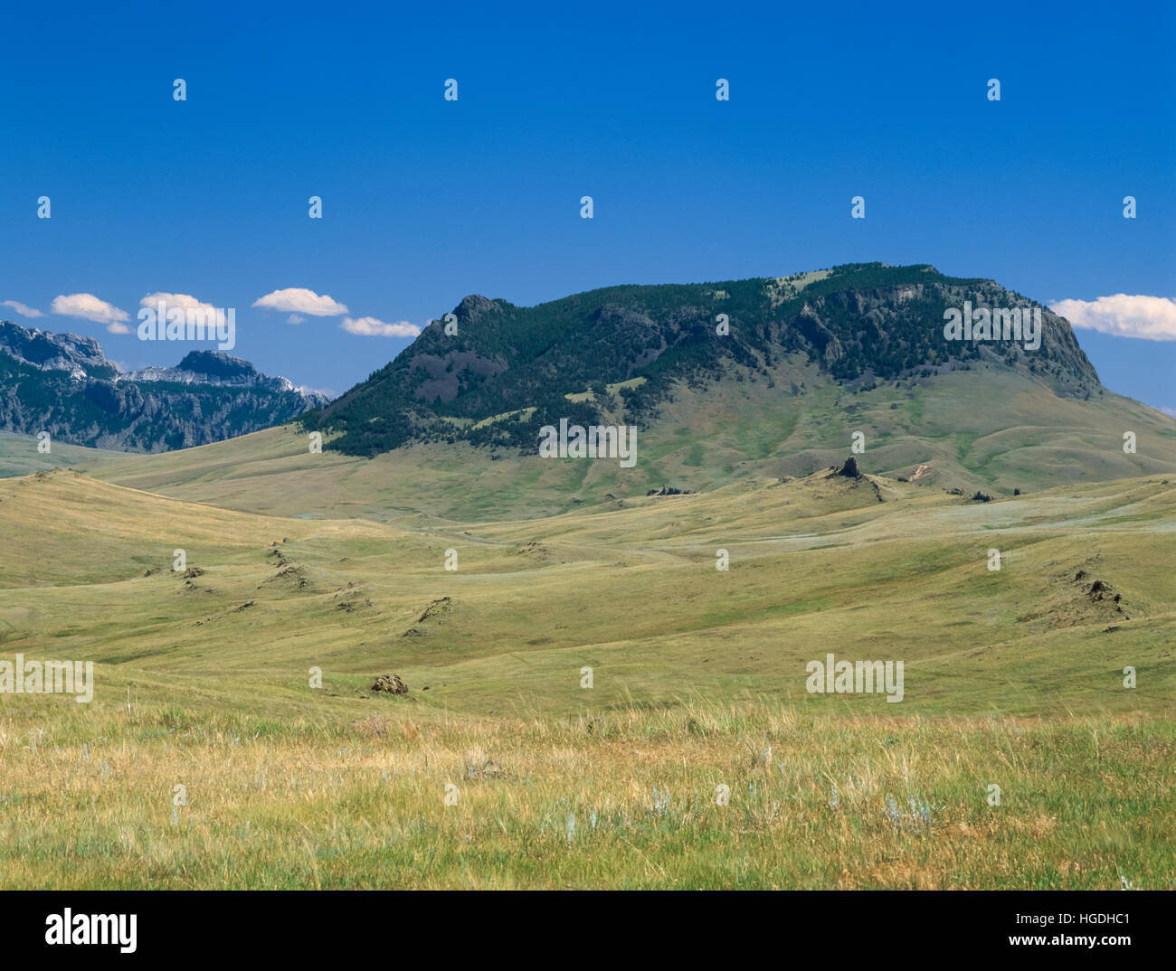 round butte and prairie near geraldine, montana Stock Photo Alamy