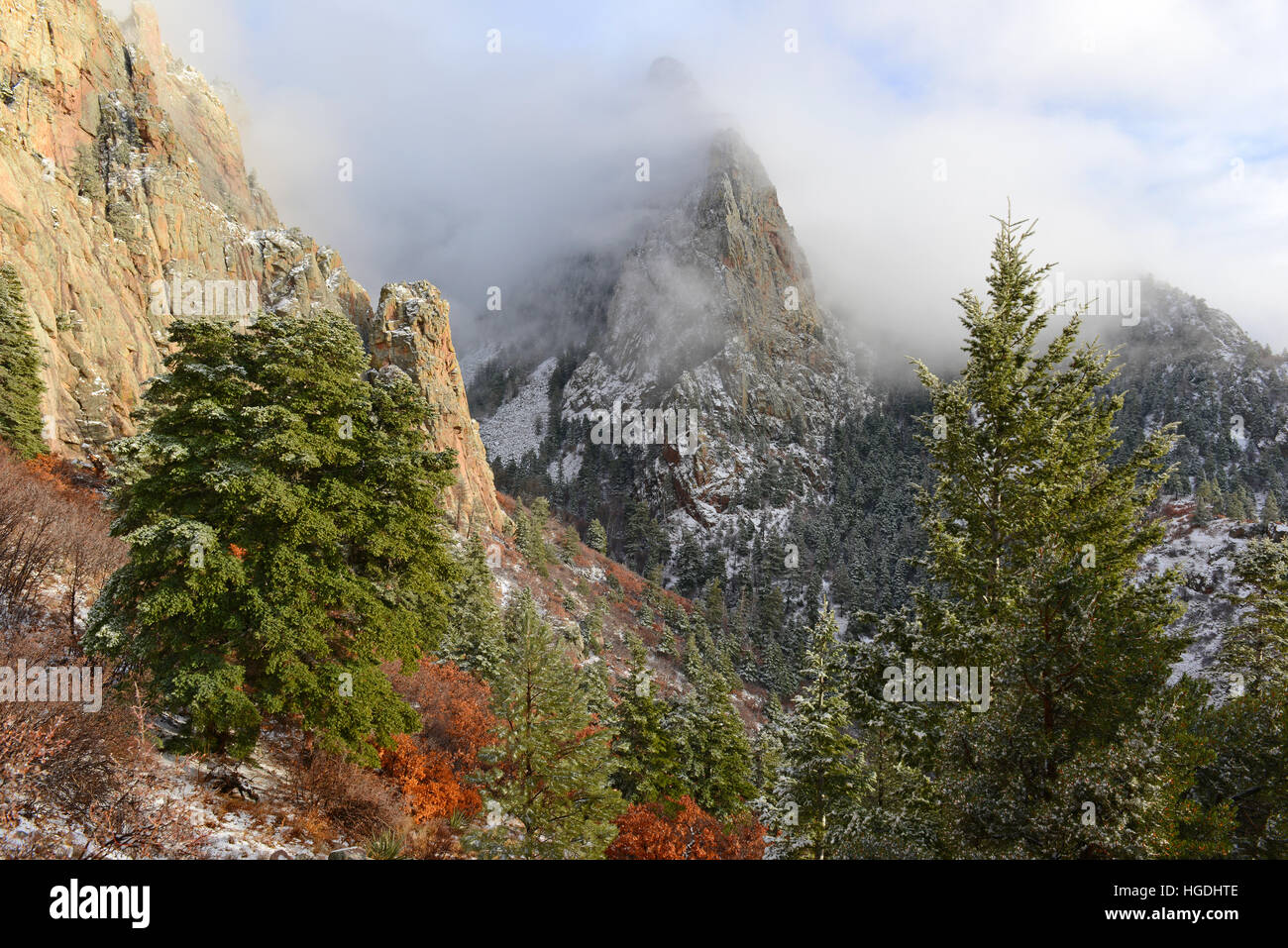 Vibrant colors of Alpine forest landscape with snow, Sandia Mountains