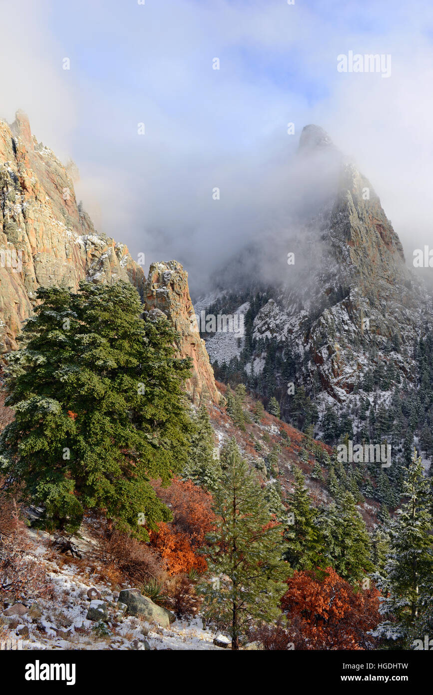 Vibrant colors of Alpine forest landscape with snow, Sandia Mountains, New Mexico, USA Stock Photo