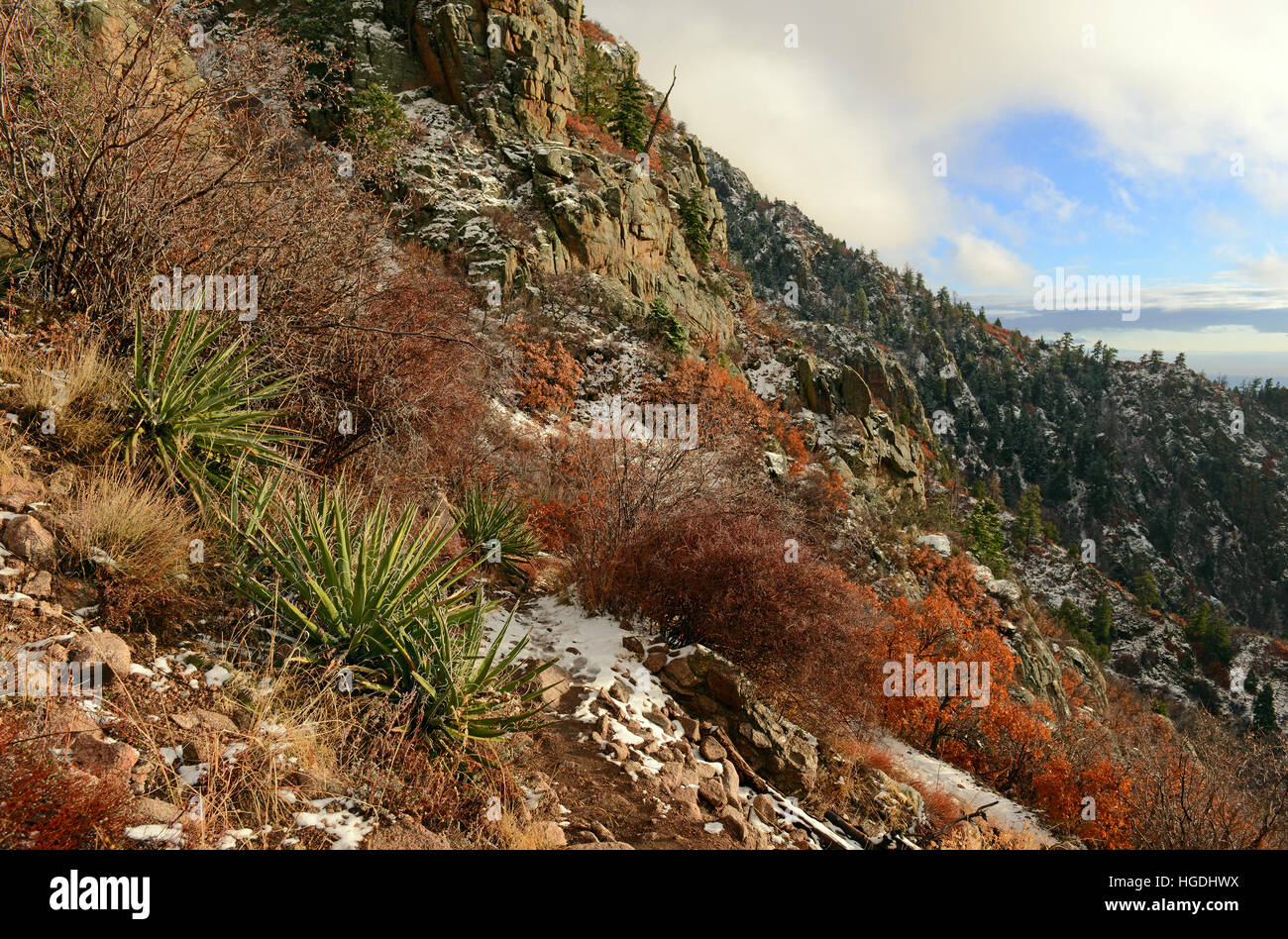 Vibrant colors of Alpine forest landscape with snow, Sandia Mountains ...