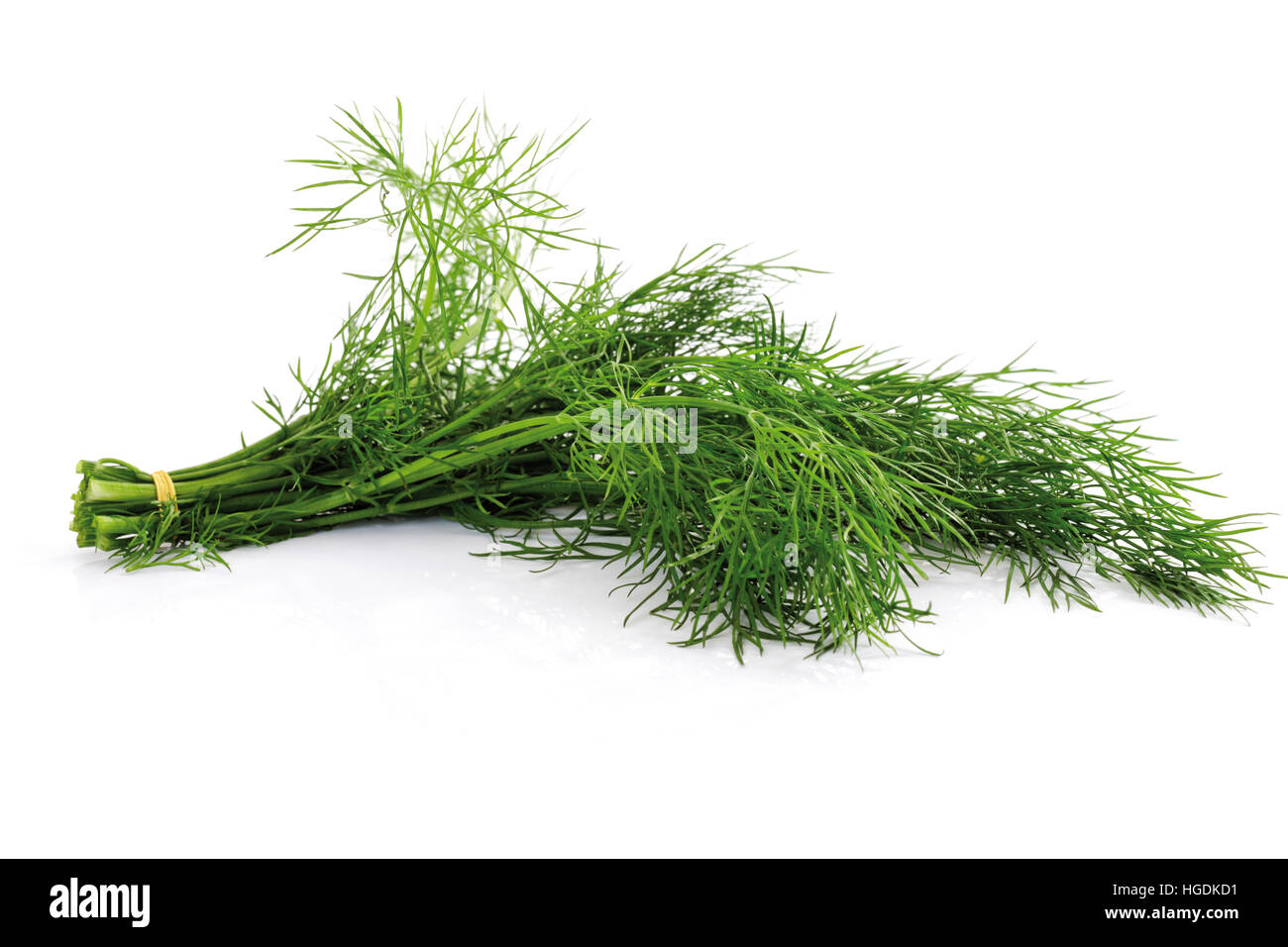 A bunch of dill Stock Photo Alamy
